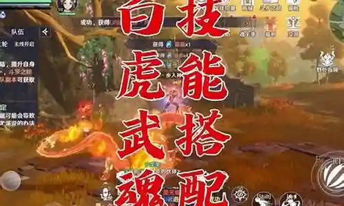 新老虎魂环阵容搭配