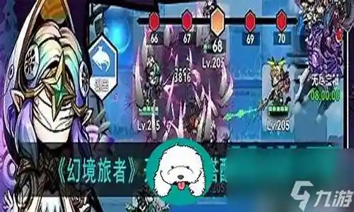 幻境搭配什么阵容最强