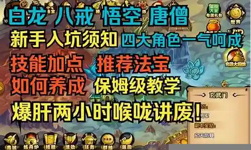 白龙法宝推荐阵容搭配