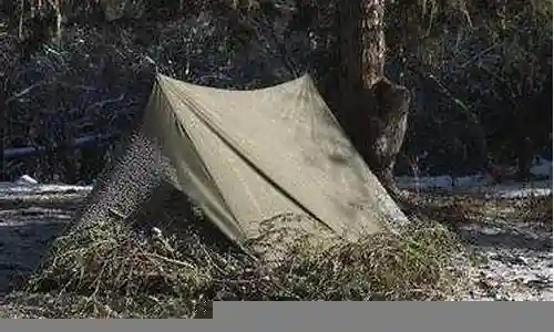 荒野召唤帐篷阵容搭配
