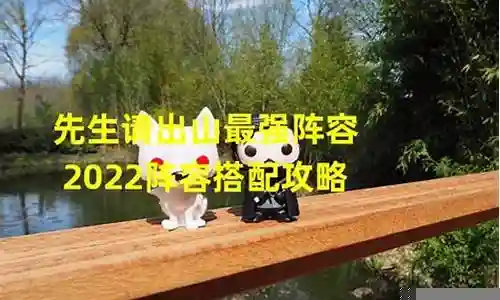请合理搭配阵容的英文