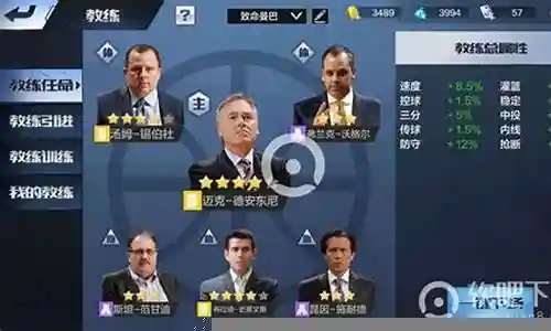 车队豪华阵容搭配推荐