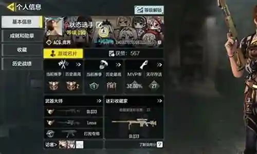 蔷薇刺客搭配阵容