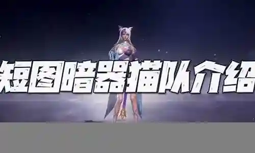 暗器猫阵容搭配详解视频