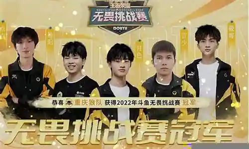 狼队组发阵容搭配图