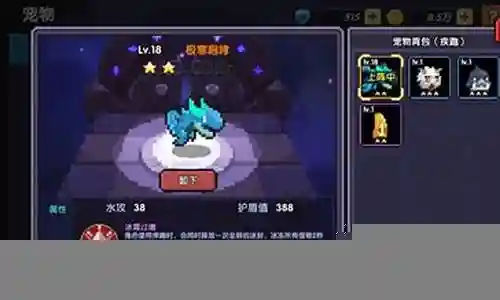 火法宠物搭配推荐阵容图