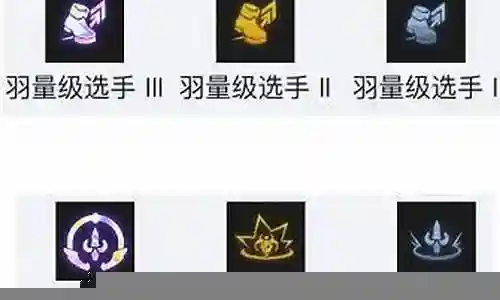 罚站奎因阵容搭配