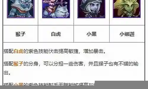 传奇刺客阵容搭配最新视频