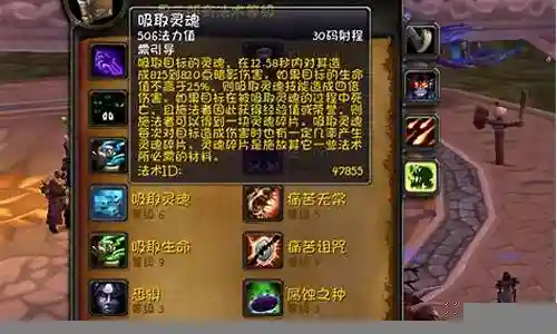 痛苦术士7.3装备