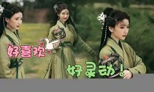 古装美女阵容搭配视频软件