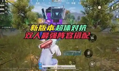 双人超体阵容怎么搭配