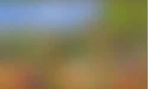 丧尸85阵容