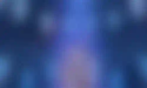 千劫猫没奥斯卡阵容搭配