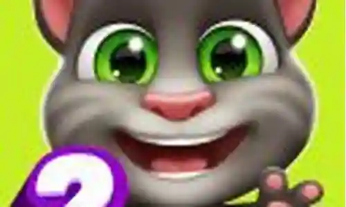 我的猫阵容