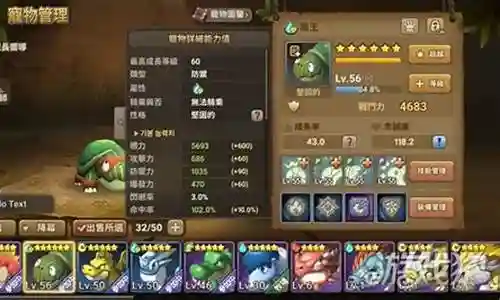 石器时代起源 阵容