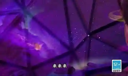 炉石佛丁阵容