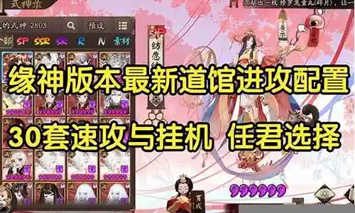 道馆阵容萌新