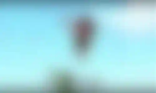 赫塔菲队阵容