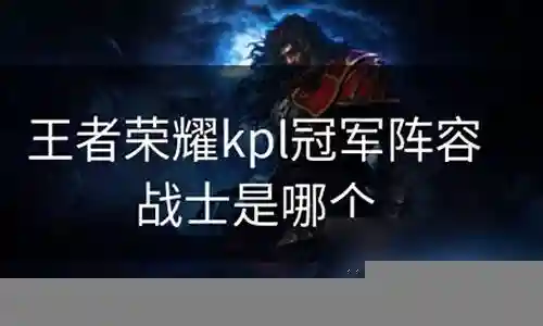 用冠军阵容战士