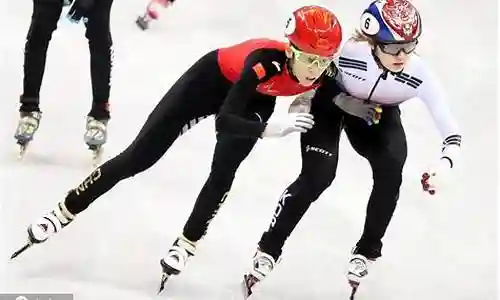 冬奥匈牙利短道阵容