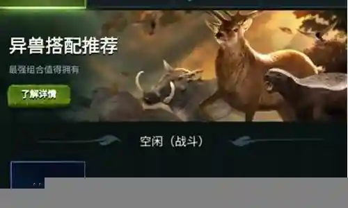 暴怒野兽怎么搭配阵容最好