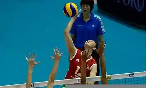 郎平试阵容