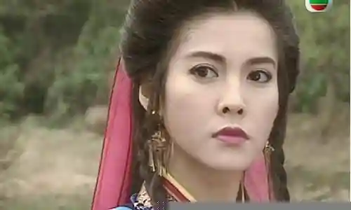 施婉华阵容