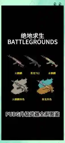 绝地求生刺击战场武器大全插图