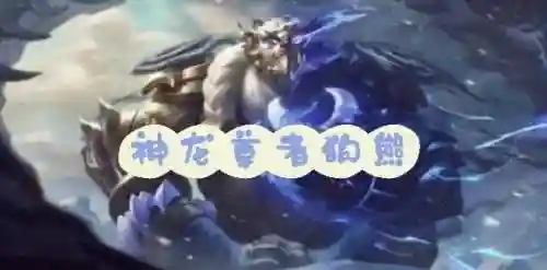 狗熊阵容金龙插图