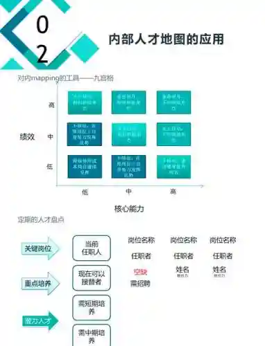 人才阵容
