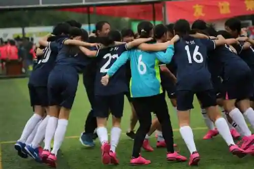 学校的阵容