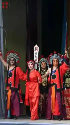 窦娥阵容插图