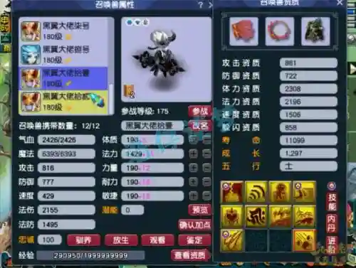 普陀阵容搭配