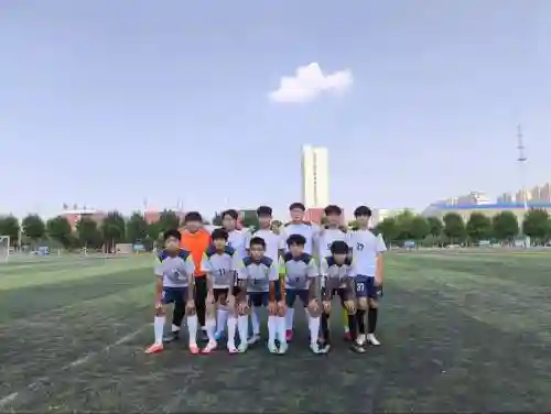 学校的阵容插图