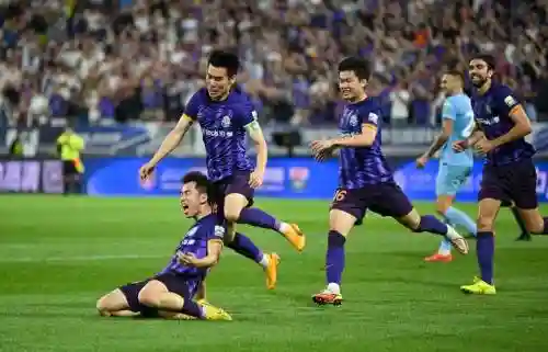 老虎比赛阵容