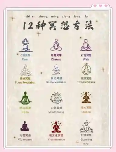 冥想二阵容插图