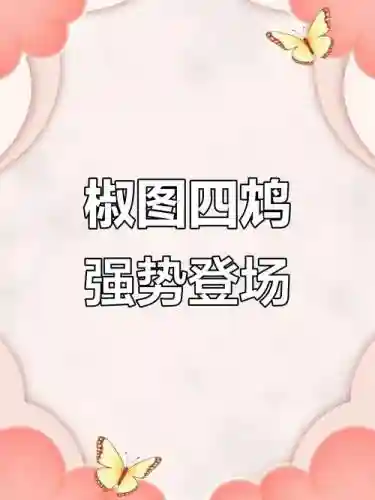 四鸠阵容插图