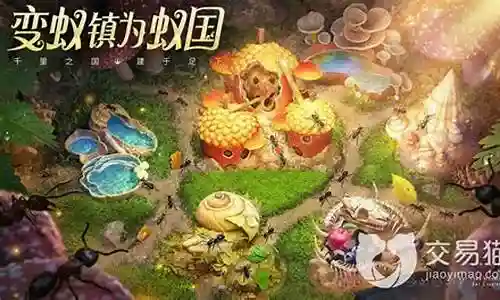 小小一国阵容搭配