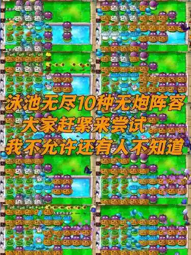 无语的阵容