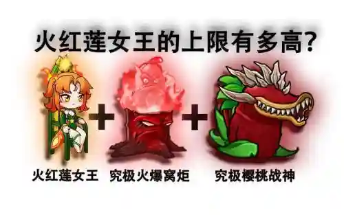 红莲阵容搭配
