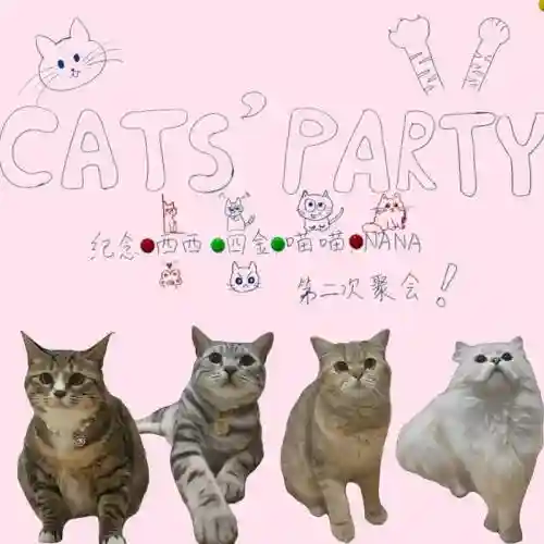虎猫阵容搭配推荐