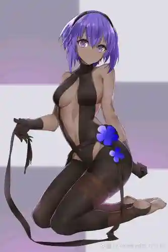 静谧哈桑技能改变_1插图
