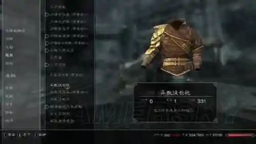 上古卷轴5随从去装备插图