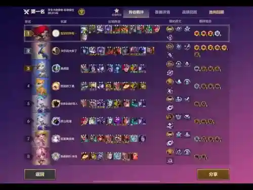 9皮阵容_1