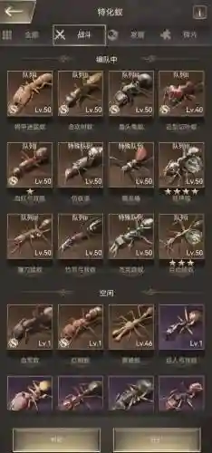 荒野蚂蚁阵容搭配