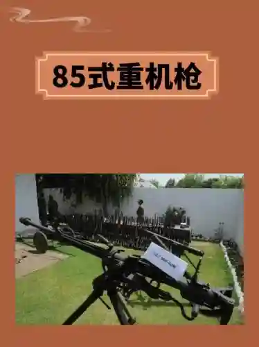 枪炮带什么85武器插图