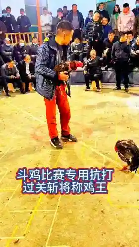 斗鸡进攻阵容插图