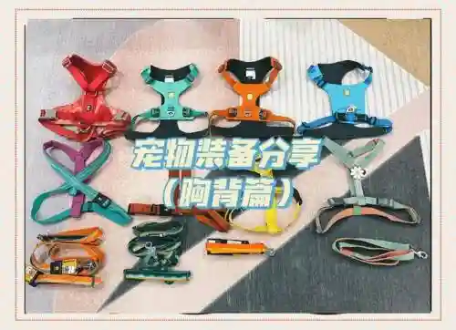 睡狗服装武器插图