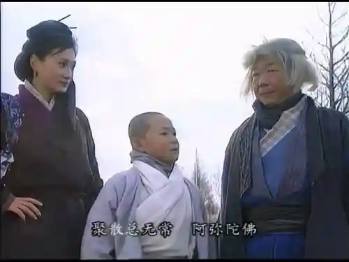 侠女闯天下演员阵容搭配插图