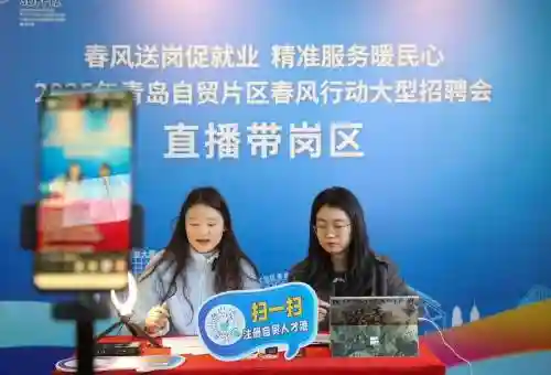 小白就业阵容_1